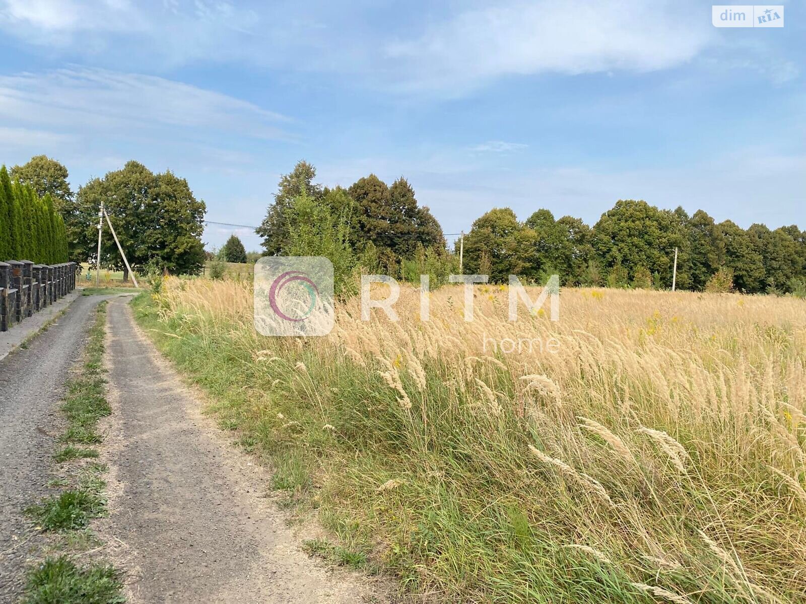 Земельный участок сельскохозяйственного назначения в Княгининке, площадь 104 сотки фото 1