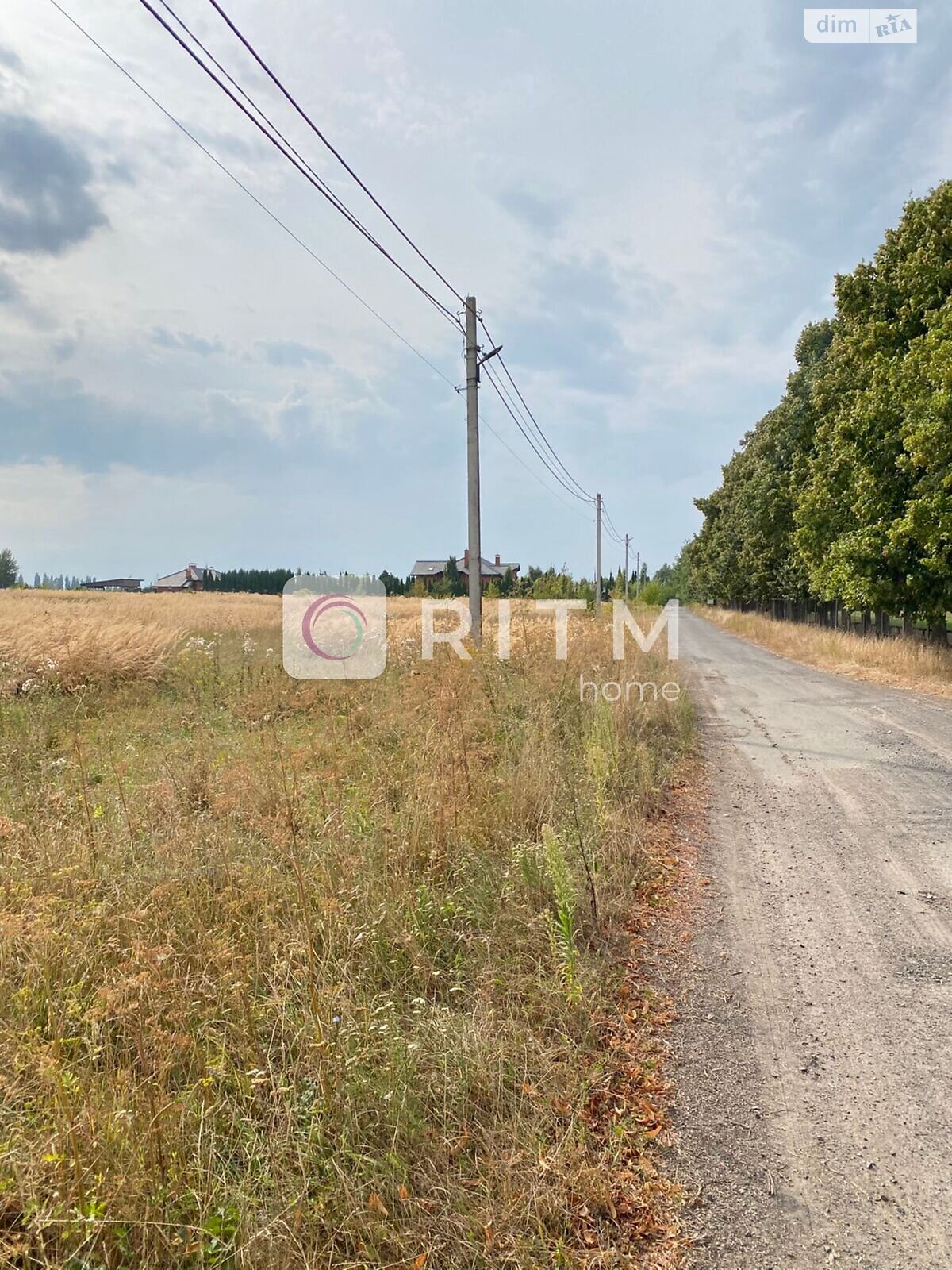 Земельный участок сельскохозяйственного назначения в Княгининке, площадь 104 сотки фото 1