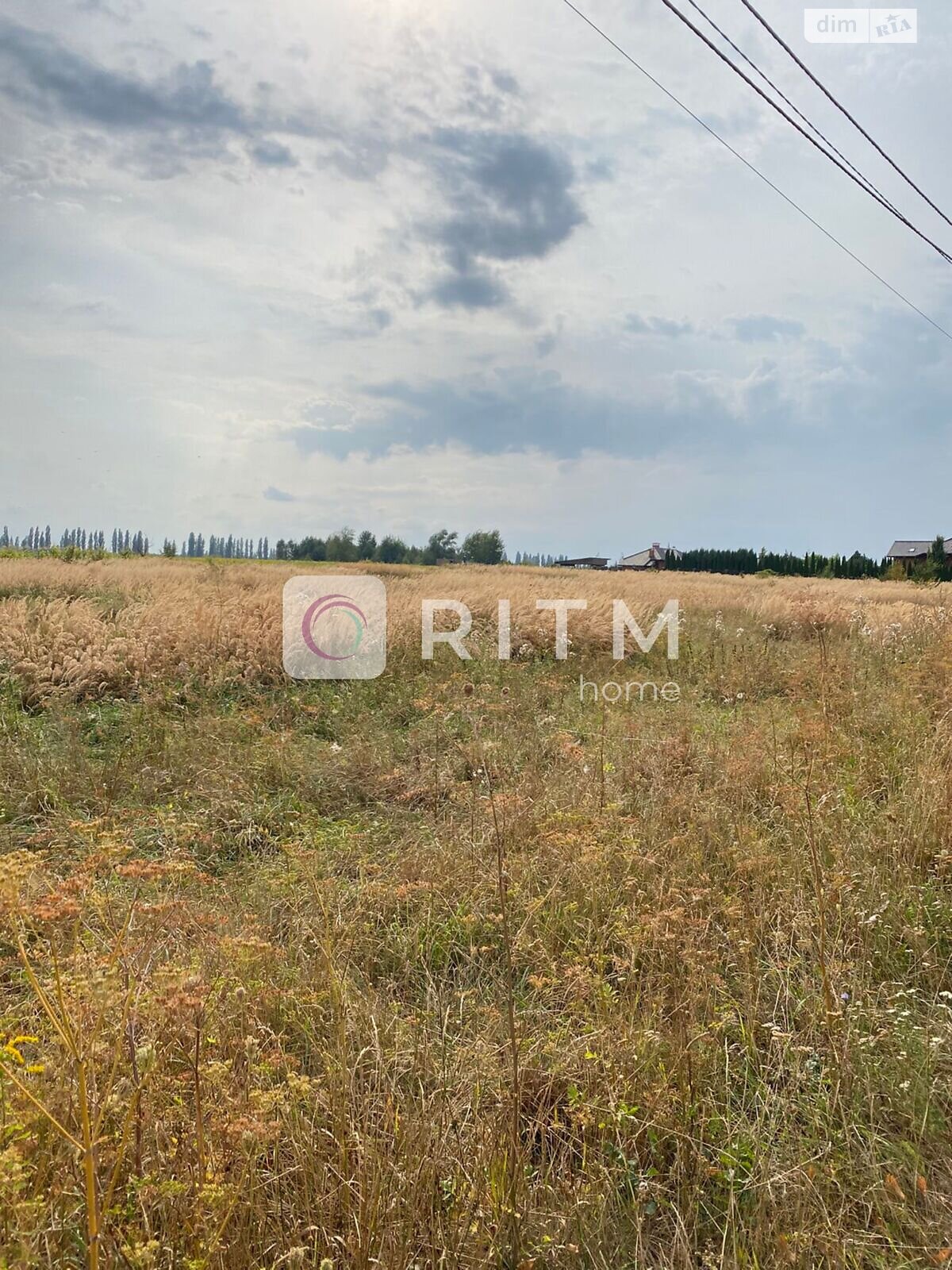 Земельный участок сельскохозяйственного назначения в Княгининке, площадь 104 сотки фото 1