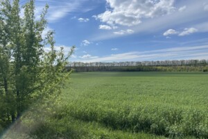 Земельна ділянка сільськогосподарського призначення в Княжичах, площа 137.9 сотки фото 2