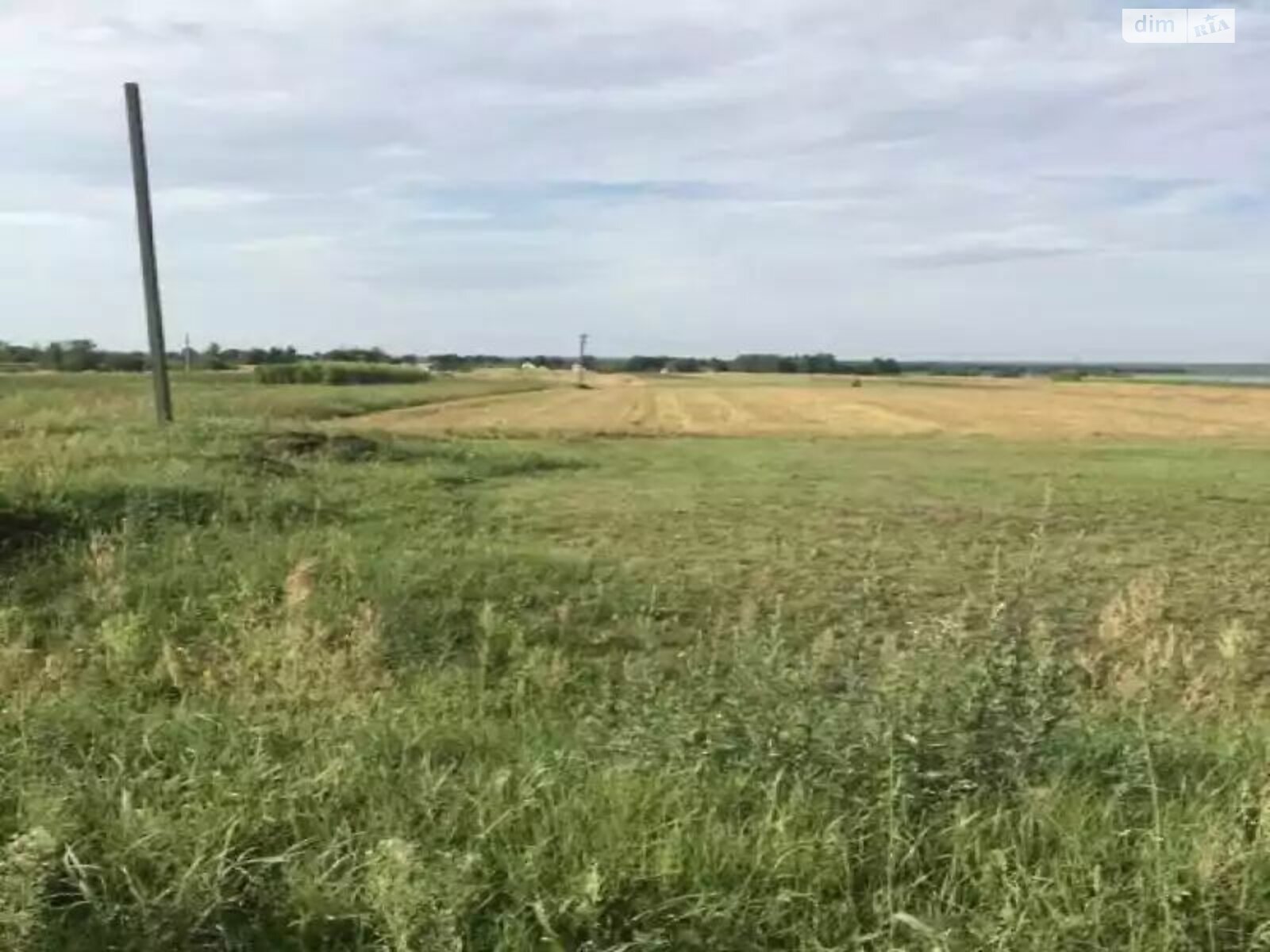 Земельна ділянка сільськогосподарського призначення в Княжичах, площа 0.4995 Га фото 1 Земельна ділянка сільськогосподарського призначення в Княжичах, площа 0.4995 Га фото 1