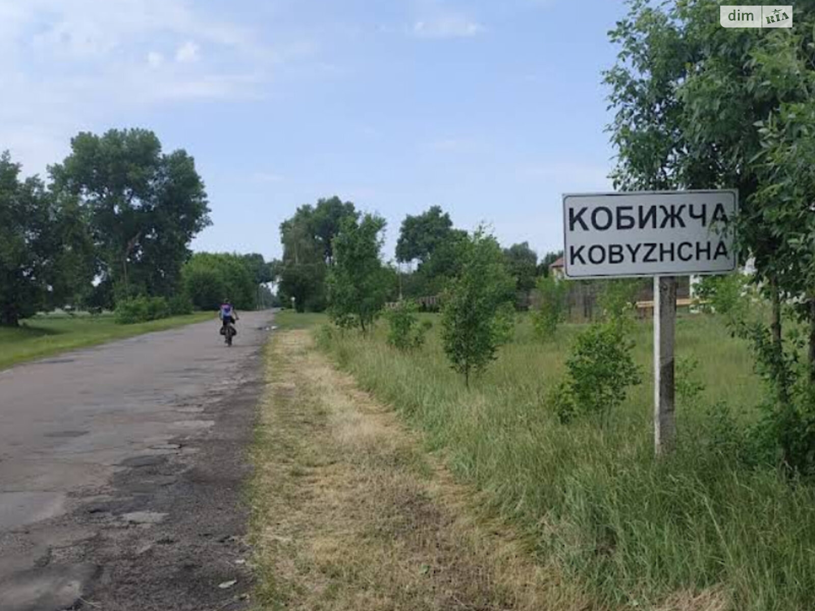 Земельный участок сельскохозяйственного назначения в Кобижче, площадь 66 соток фото 1 Земельный участок сельскохозяйственного назначения в Кобижче, площадь 66 соток фото 1