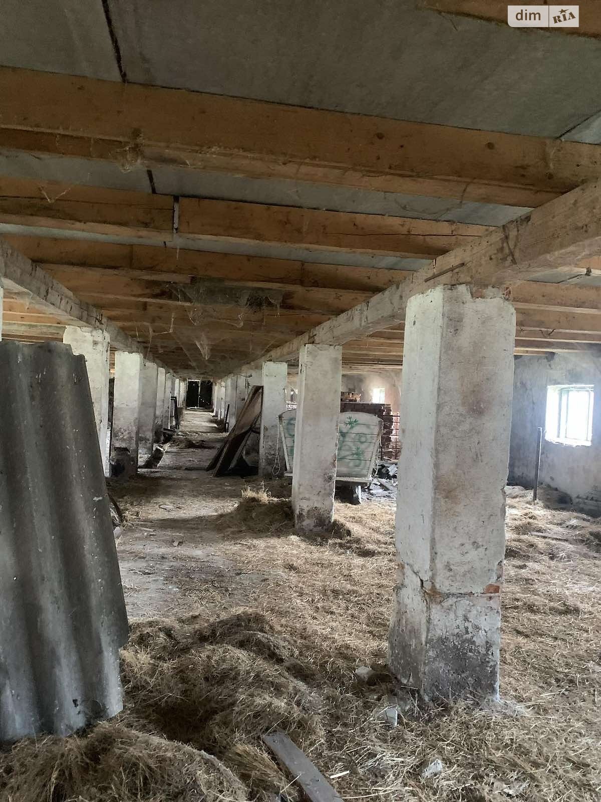 Земля сельскохозяйственного назначения в Кобылецкой Поляне, площадь 2 Га фото 1 Земля сельскохозяйственного назначения в Кобылецкой Поляне, площадь 2 Га фото 1