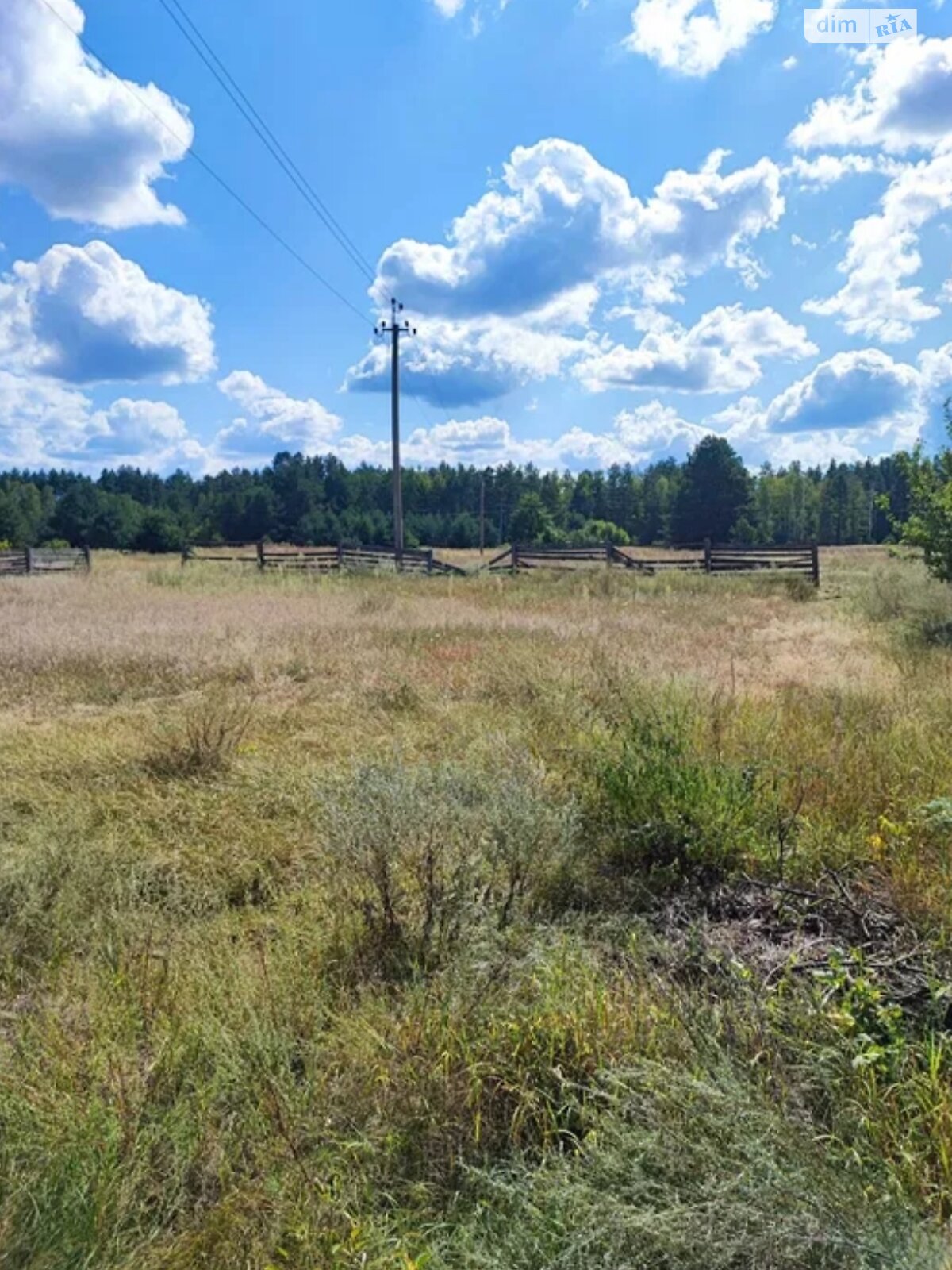 Земельна ділянка сільськогосподарського призначення в Коленцях, площа 50 соток фото 1 Земельна ділянка сільськогосподарського призначення в Коленцях, площа 50 соток фото 1