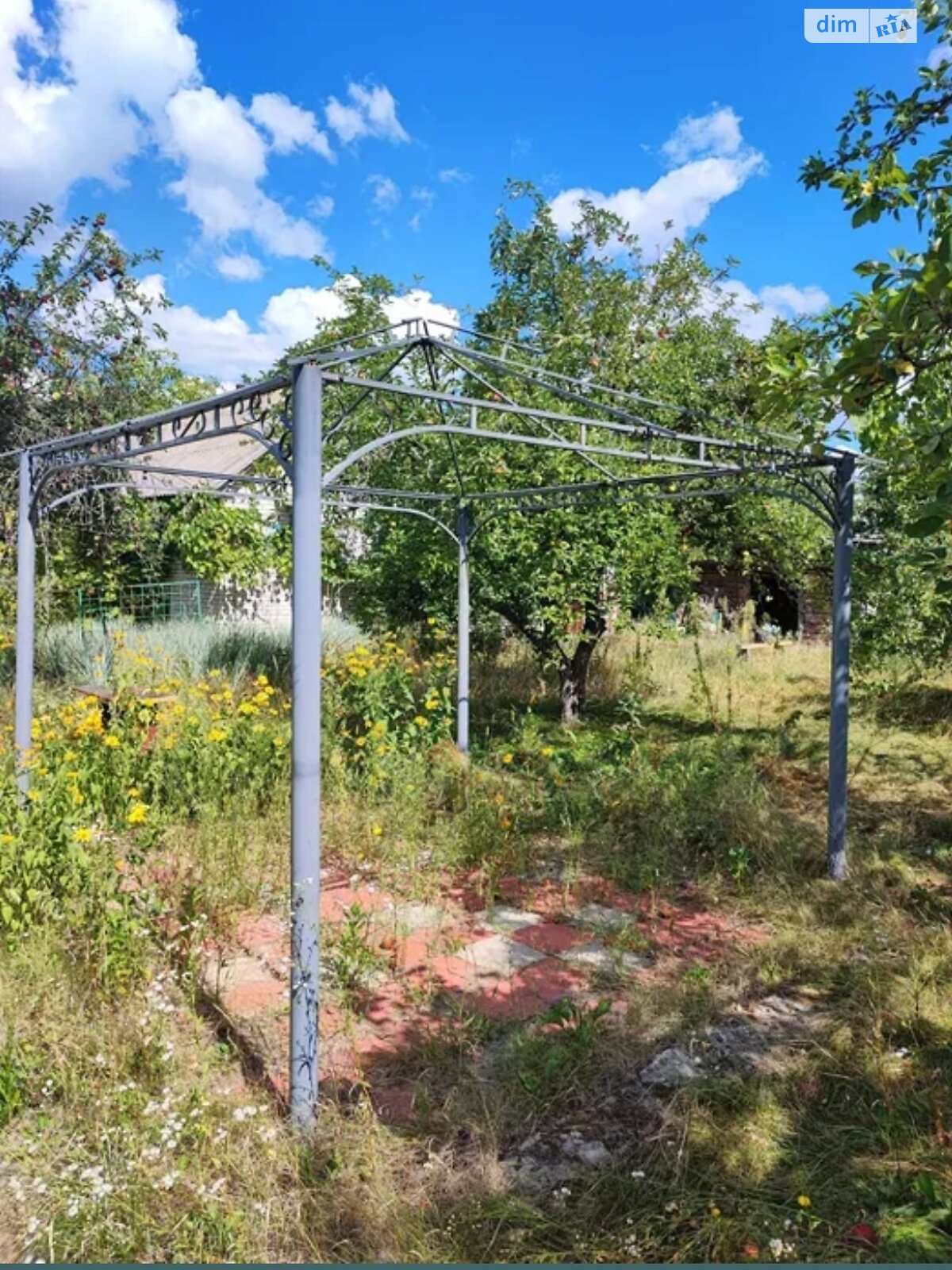Земельна ділянка сільськогосподарського призначення в Коленцях, площа 50 соток фото 1 Земельна ділянка сільськогосподарського призначення в Коленцях, площа 50 соток фото 1