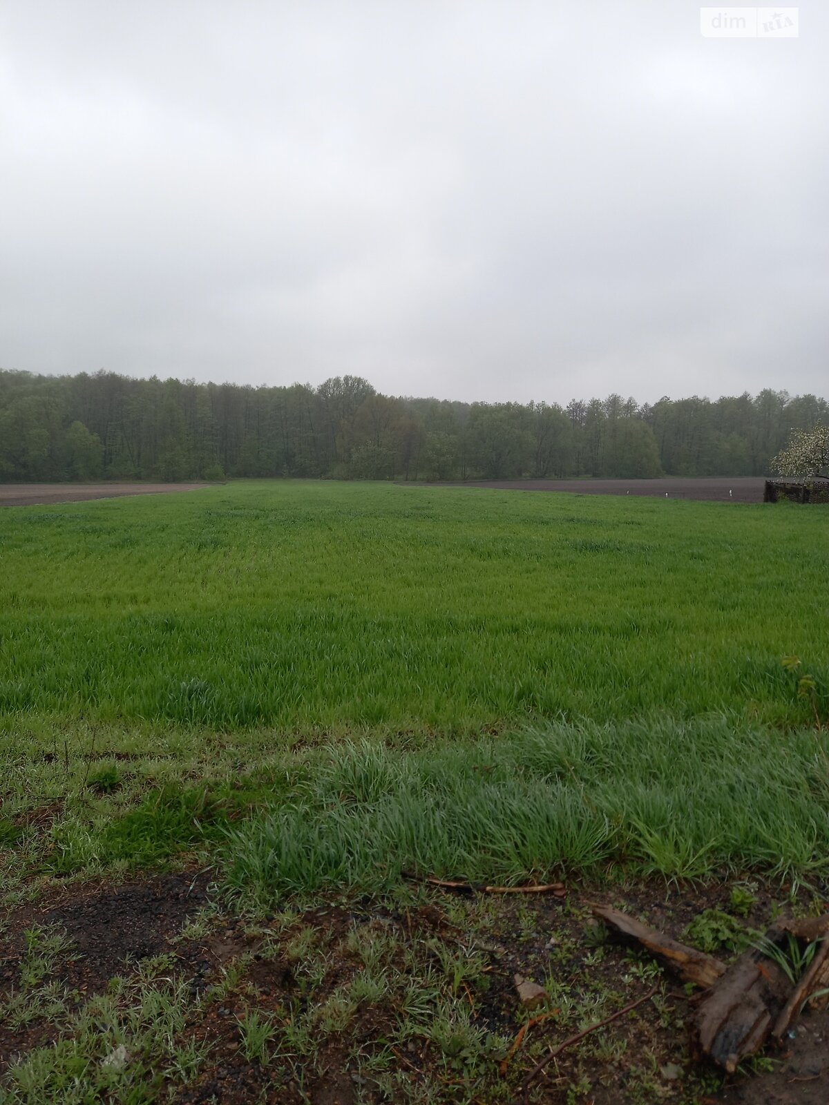 Земельный участок сельскохозяйственного назначения в Колесниково, площадь 0.43 сотки фото 1