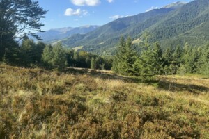 Земельна ділянка сільськогосподарського призначення в Колочаві, площа 1.4008 Га фото 2 Земельна ділянка сільськогосподарського призначення в Колочаві, площа 1.4008 Га фото 2