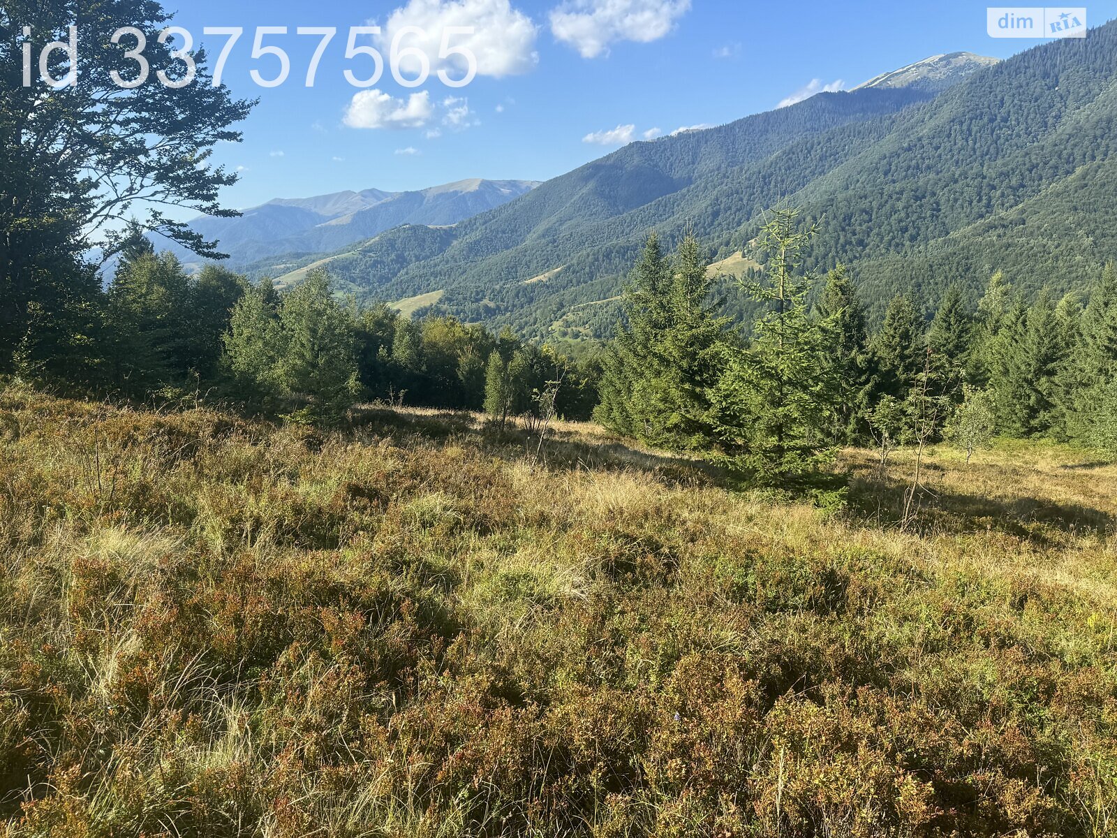 Земельна ділянка сільськогосподарського призначення в Колочаві, площа 1.4008 Га фото 1 Земельна ділянка сільськогосподарського призначення в Колочаві, площа 1.4008 Га фото 1