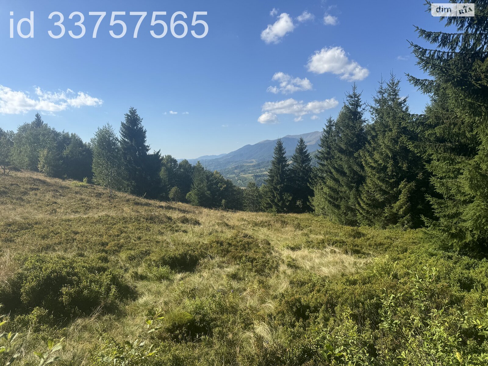 Земельна ділянка сільськогосподарського призначення в Колочаві, площа 1.4008 Га фото 1 Земельна ділянка сільськогосподарського призначення в Колочаві, площа 1.4008 Га фото 1