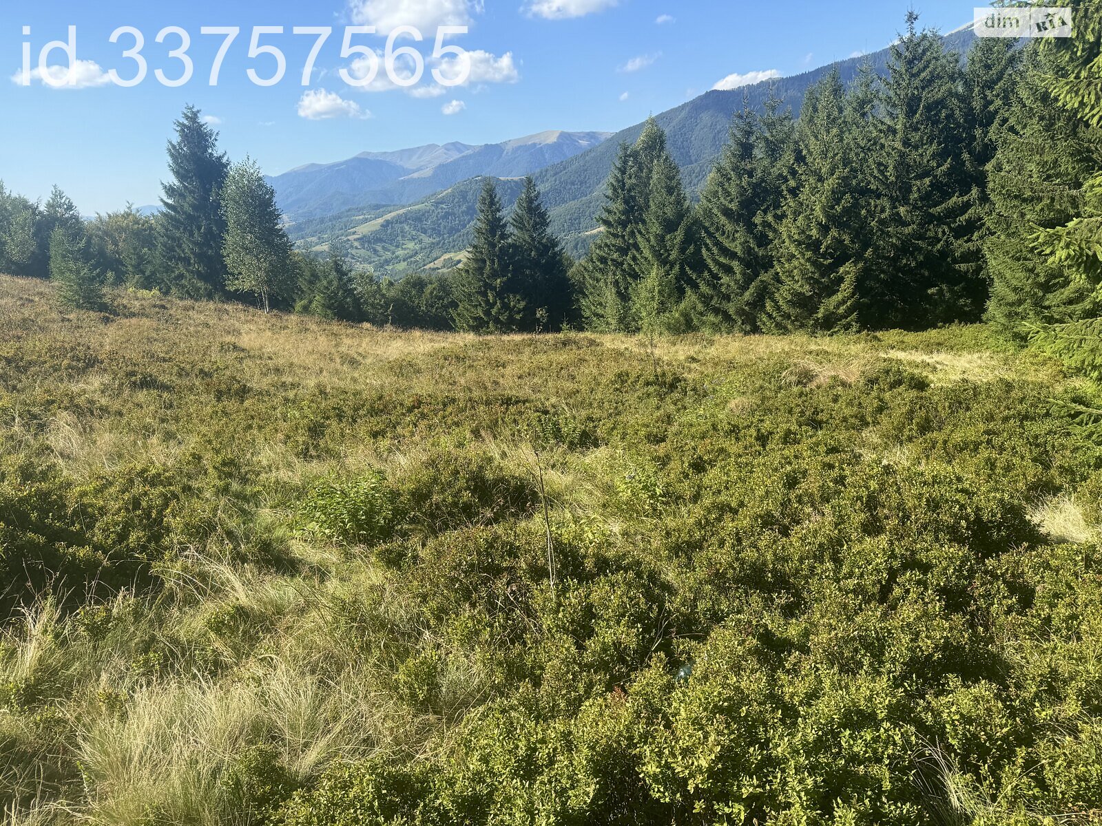 Земельна ділянка сільськогосподарського призначення в Колочаві, площа 1.4008 Га фото 1 Земельна ділянка сільськогосподарського призначення в Колочаві, площа 1.4008 Га фото 1