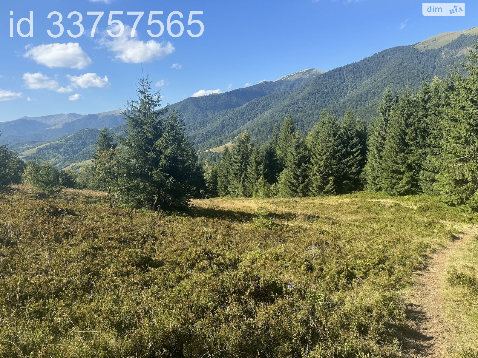 Земельна ділянка сільськогосподарського призначення в Колочаві, площа 1.4008 Га фото 1 Земельна ділянка сільськогосподарського призначення в Колочаві, площа 1.4008 Га фото 1