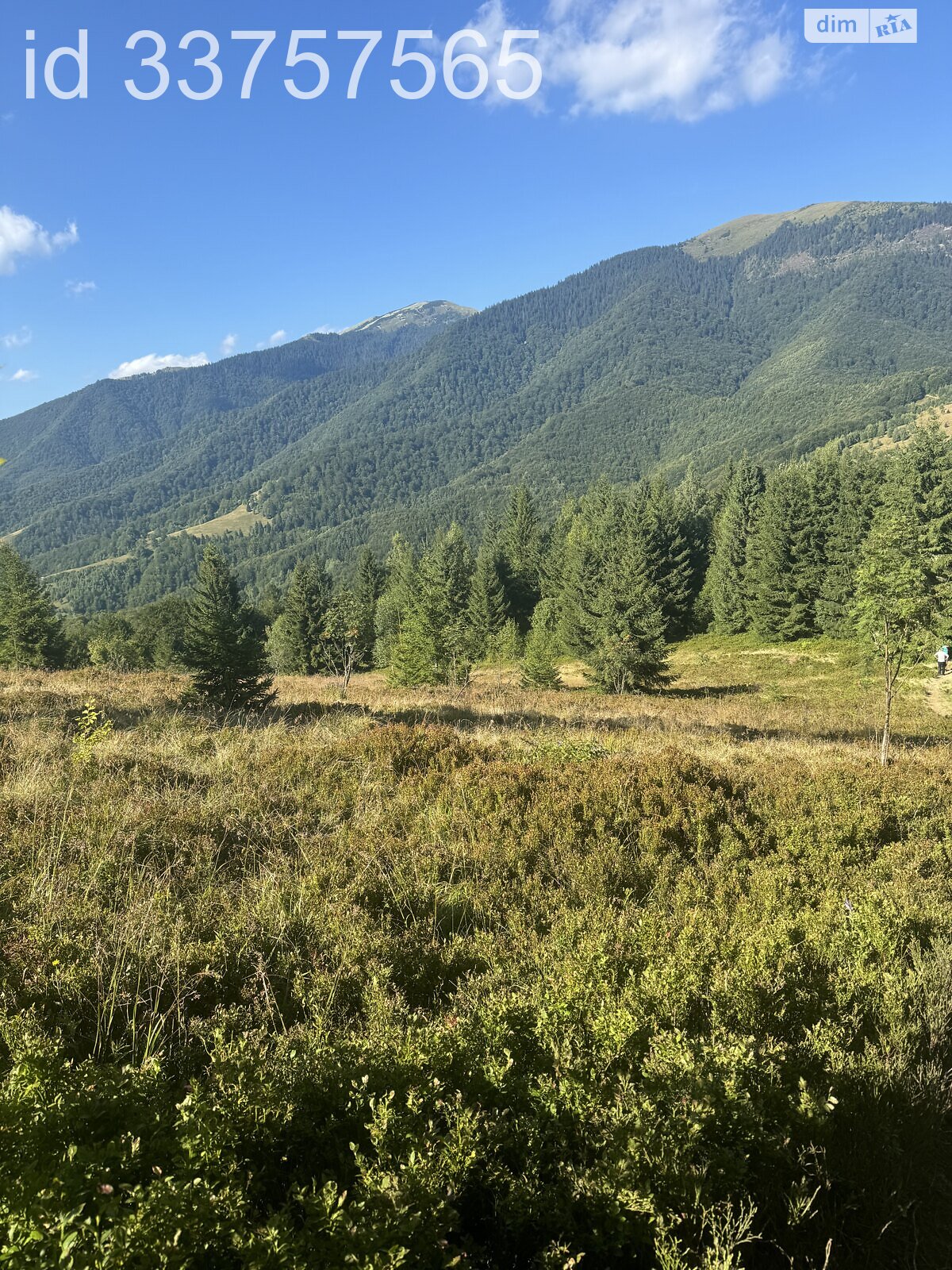 Земельна ділянка сільськогосподарського призначення в Колочаві, площа 1.4008 Га фото 1 Земельна ділянка сільськогосподарського призначення в Колочаві, площа 1.4008 Га фото 1