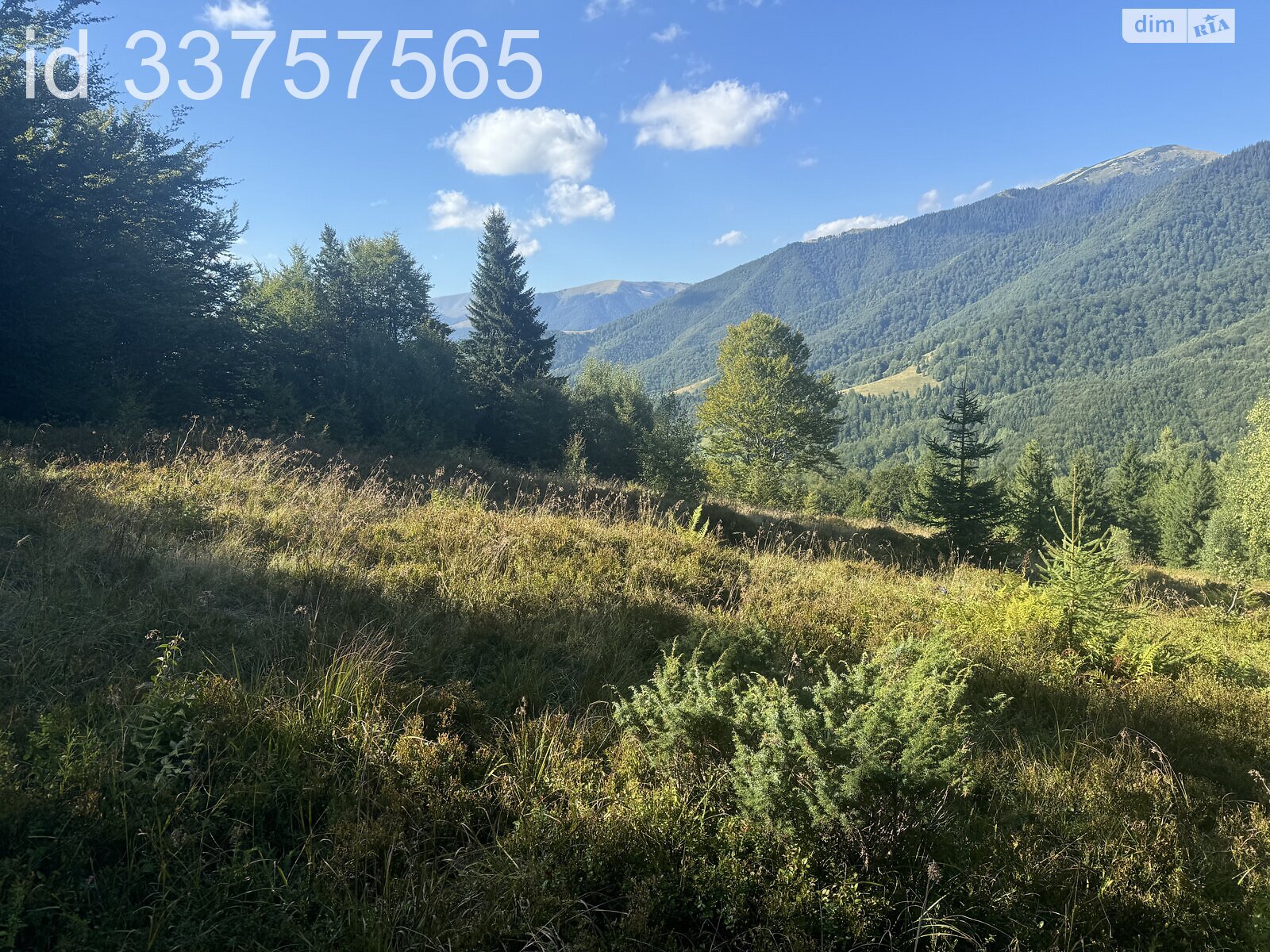 Земельна ділянка сільськогосподарського призначення в Колочаві, площа 1.4008 Га фото 1 Земельна ділянка сільськогосподарського призначення в Колочаві, площа 1.4008 Га фото 1