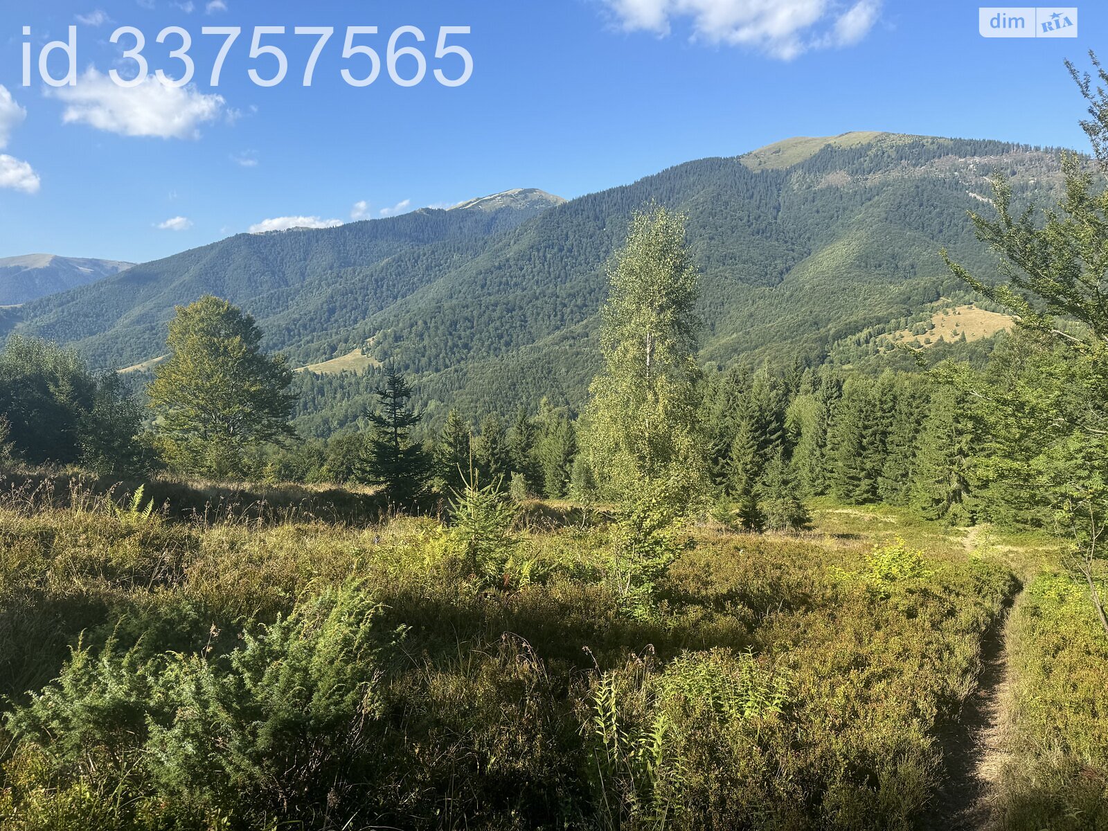 Земельна ділянка сільськогосподарського призначення в Колочаві, площа 1.4008 Га фото 1 Земельна ділянка сільськогосподарського призначення в Колочаві, площа 1.4008 Га фото 1