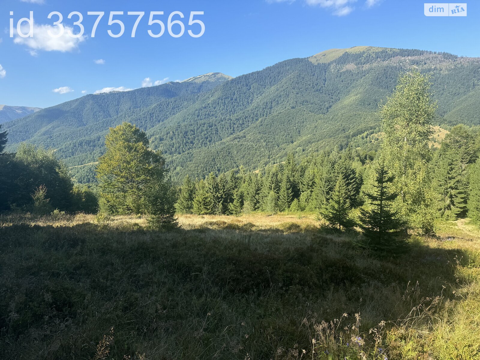 Земельна ділянка сільськогосподарського призначення в Колочаві, площа 1.4008 Га фото 1 Земельна ділянка сільськогосподарського призначення в Колочаві, площа 1.4008 Га фото 1