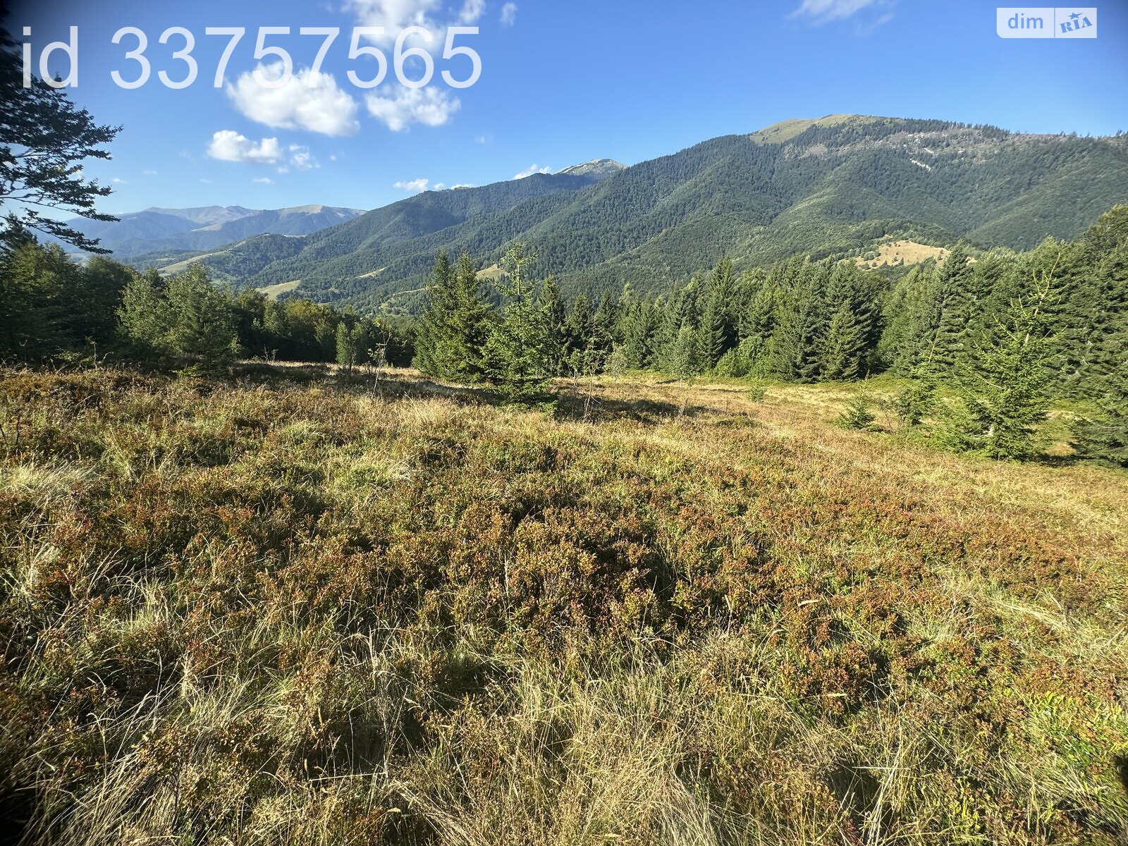 Земельна ділянка сільськогосподарського призначення в Колочаві, площа 1.4008 Га фото 1 Земельна ділянка сільськогосподарського призначення в Колочаві, площа 1.4008 Га фото 1