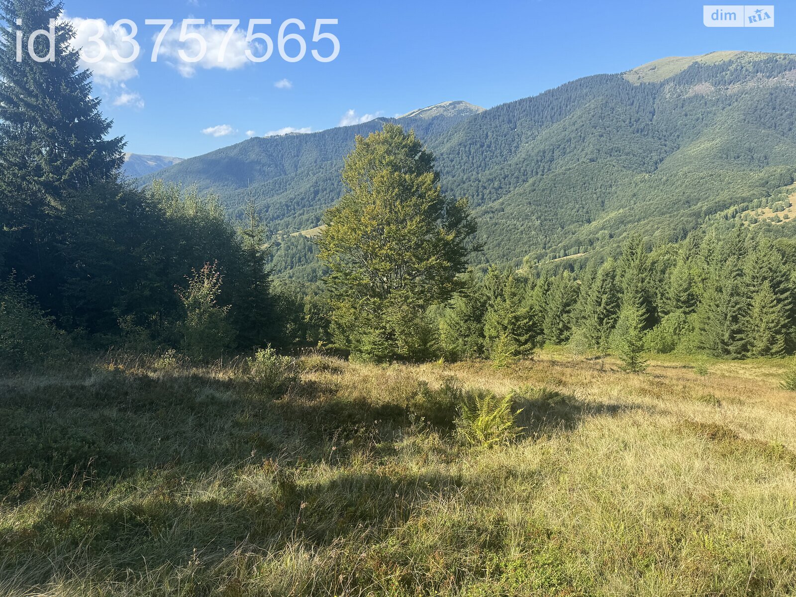 Земельна ділянка сільськогосподарського призначення в Колочаві, площа 1.4008 Га фото 1 Земельна ділянка сільськогосподарського призначення в Колочаві, площа 1.4008 Га фото 1