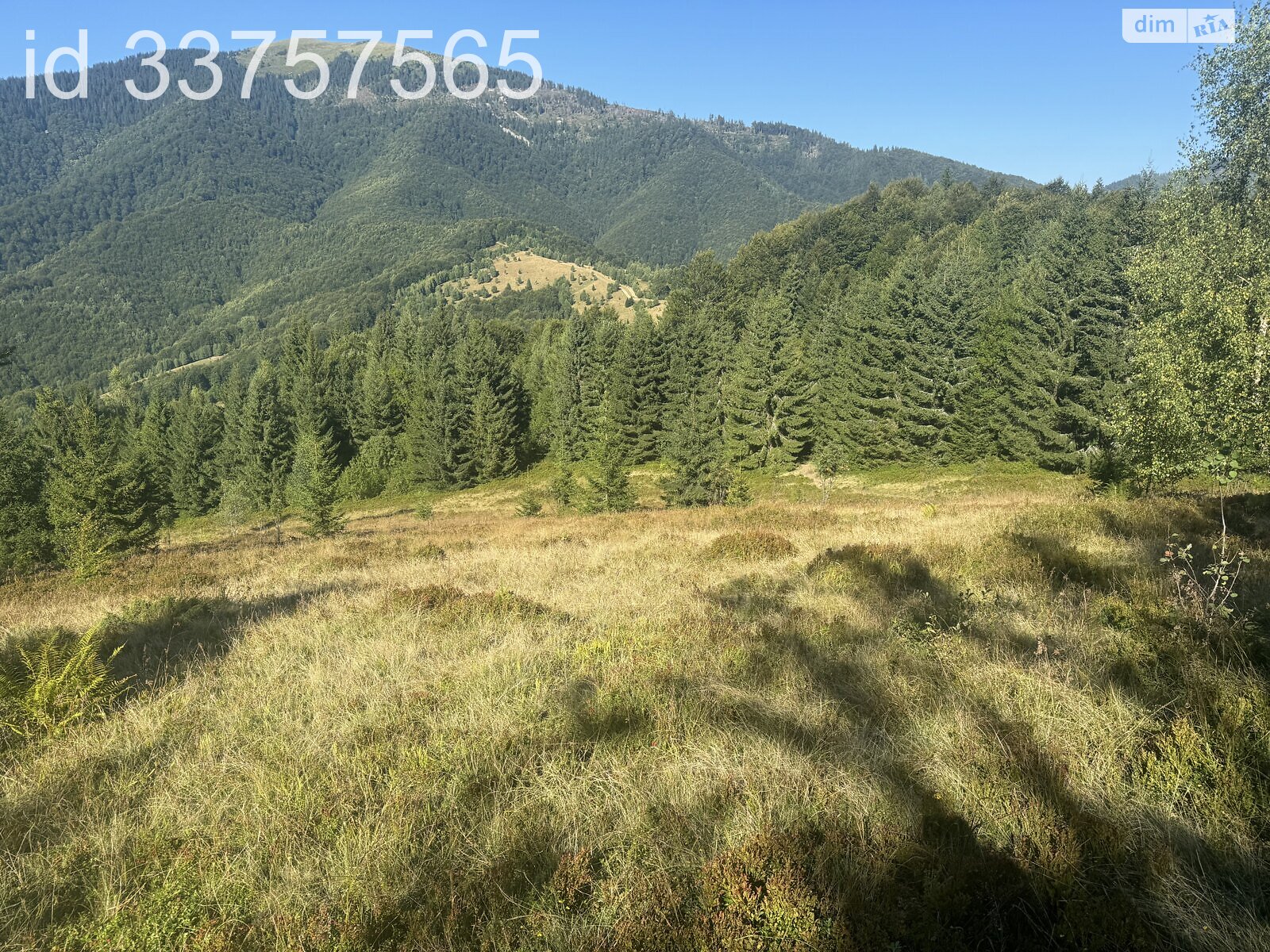 Земельна ділянка сільськогосподарського призначення в Колочаві, площа 1.4008 Га фото 1 Земельна ділянка сільськогосподарського призначення в Колочаві, площа 1.4008 Га фото 1