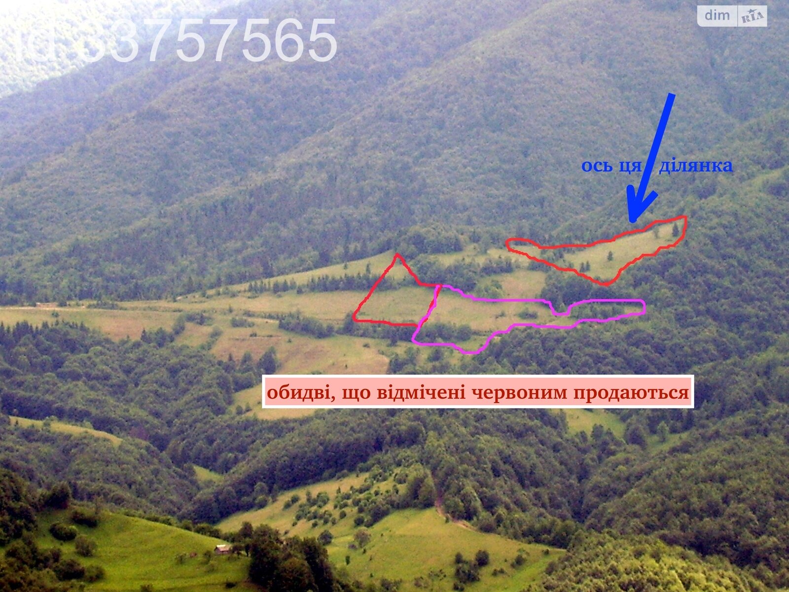 Земельна ділянка сільськогосподарського призначення в Колочаві, площа 1.4008 Га фото 1 Земельна ділянка сільськогосподарського призначення в Колочаві, площа 1.4008 Га фото 1