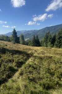 Земельна ділянка сільськогосподарського призначення в Колочаві, площа 0.4692 Га фото 2