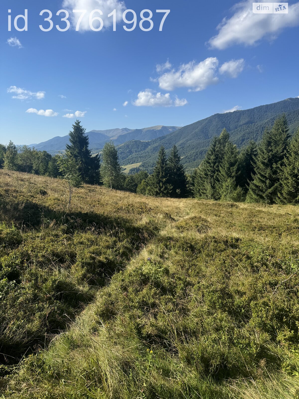 Земельна ділянка сільськогосподарського призначення в Колочаві, площа 0.4692 Га фото 1