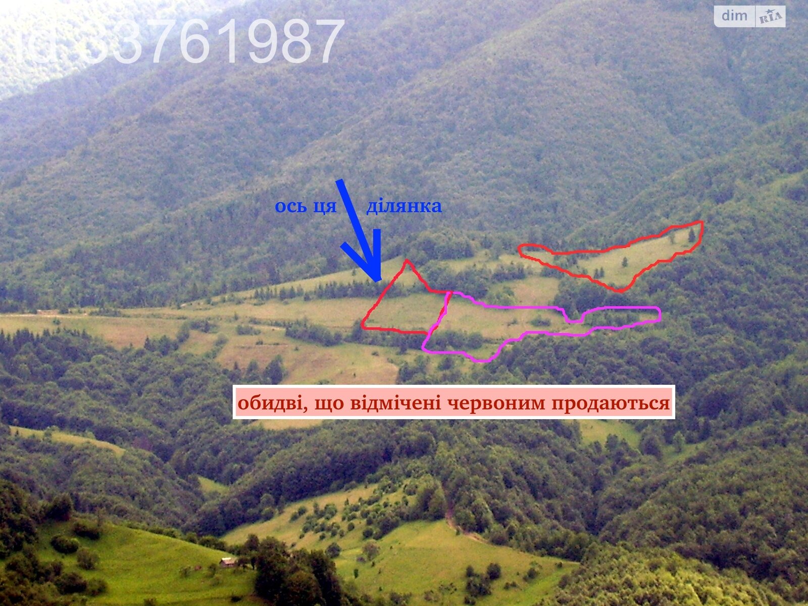 Земельна ділянка сільськогосподарського призначення в Колочаві, площа 0.4692 Га фото 1
