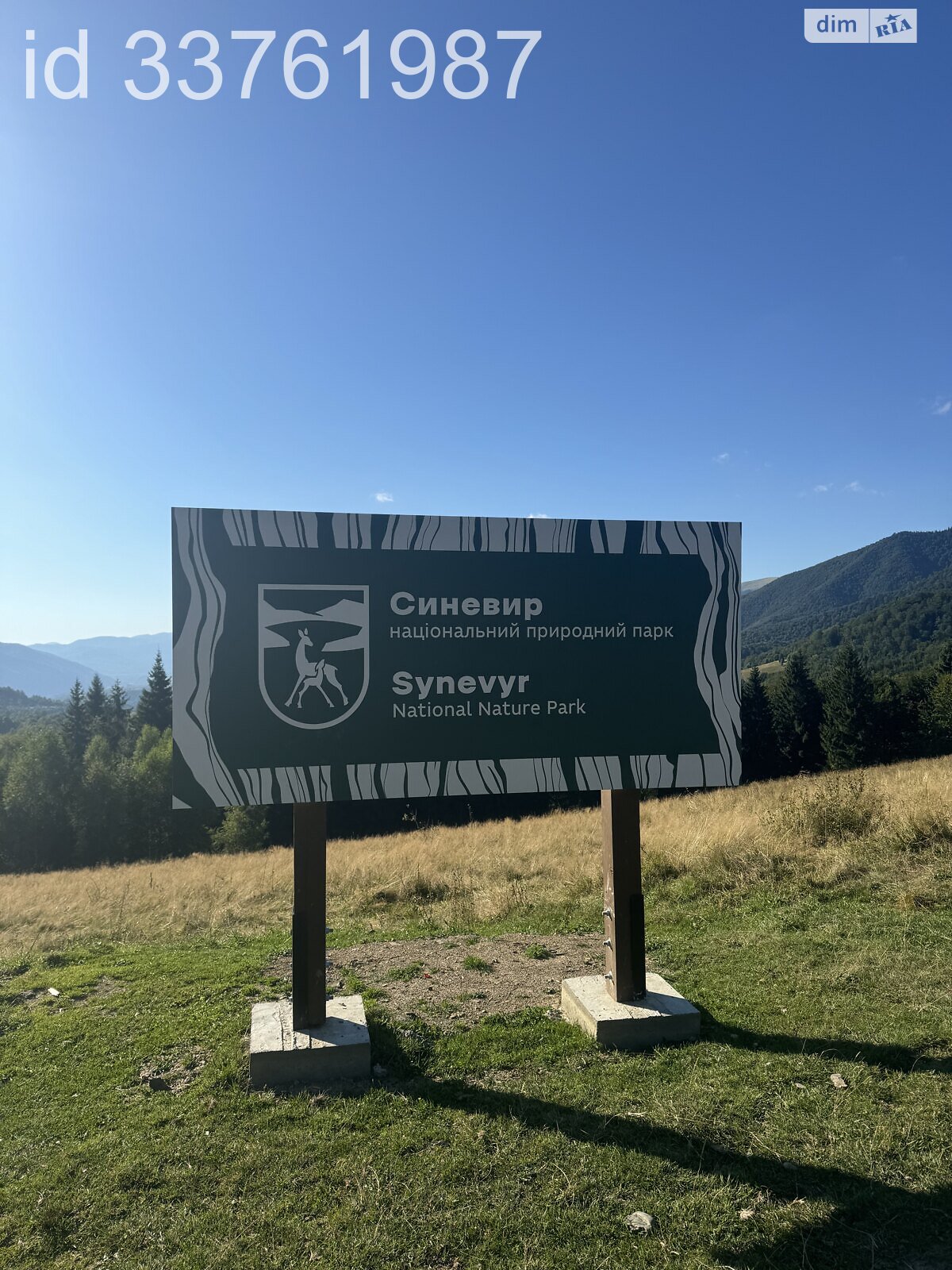 Земельна ділянка сільськогосподарського призначення в Колочаві, площа 0.4692 Га фото 1