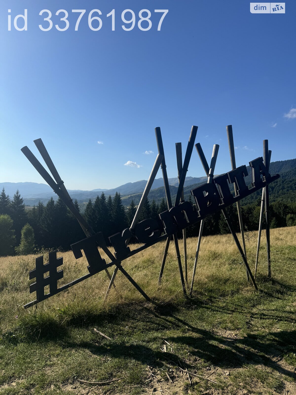 Земельна ділянка сільськогосподарського призначення в Колочаві, площа 0.4692 Га фото 1