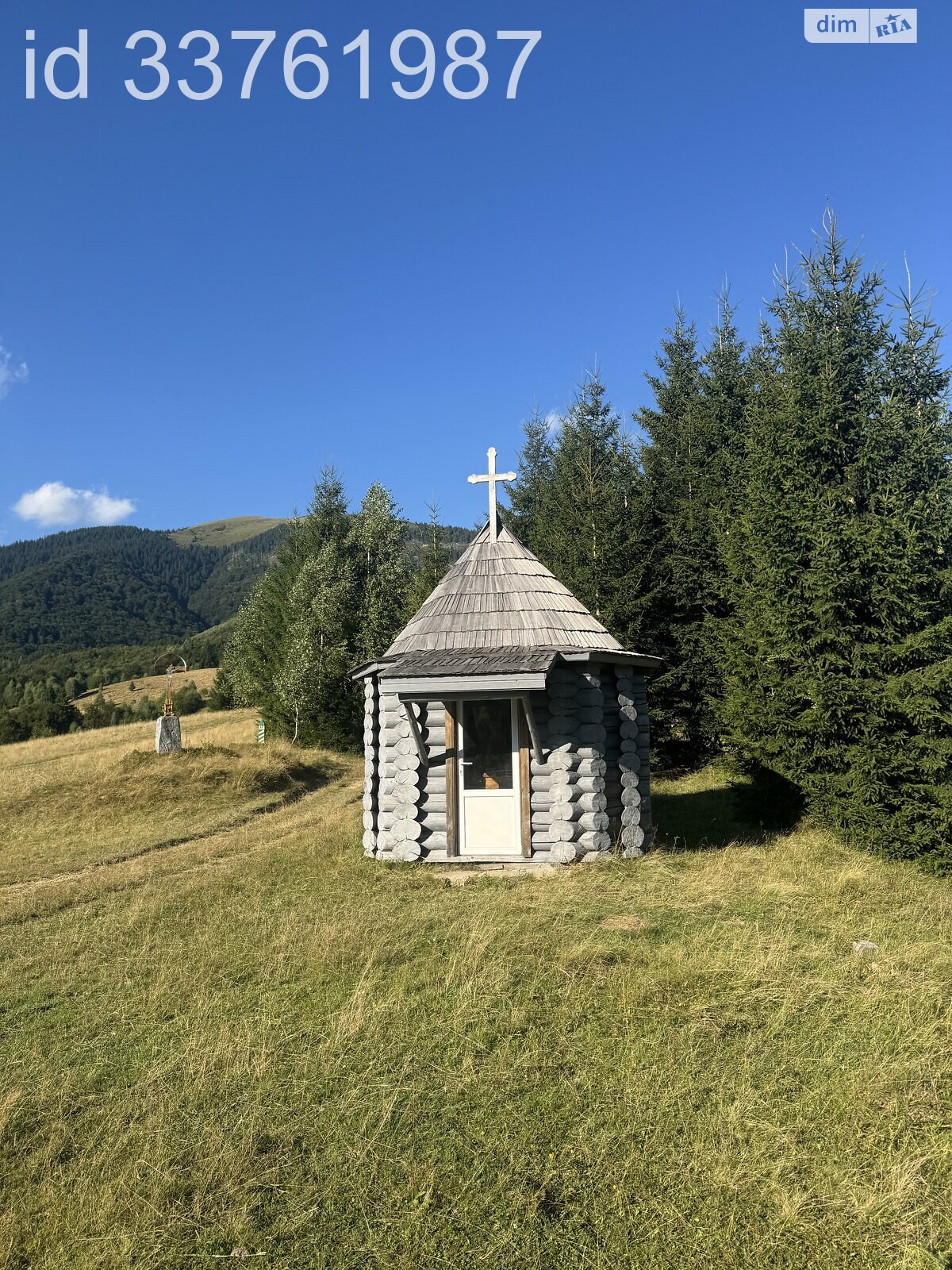 Земельна ділянка сільськогосподарського призначення в Колочаві, площа 0.4692 Га фото 1