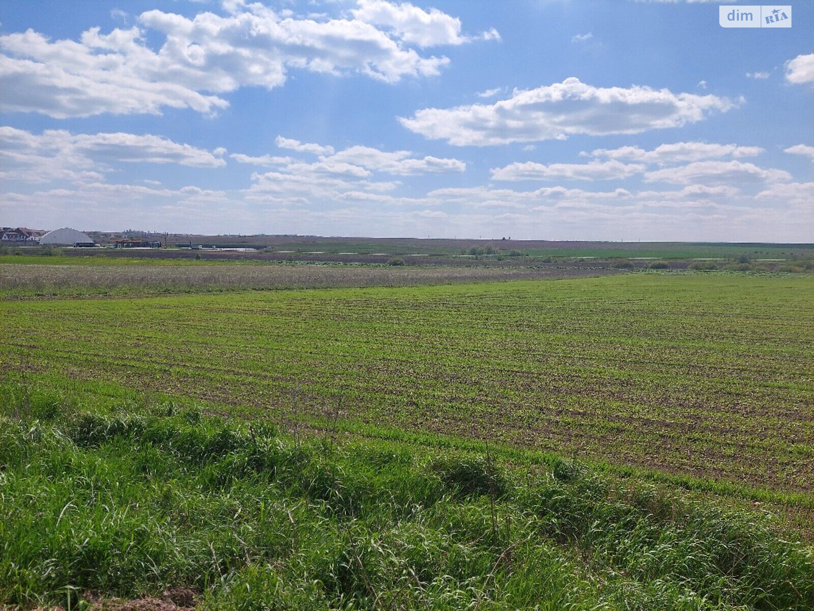 Земельна ділянка сільськогосподарського призначення в Колоденці, площа 1 Га фото 1