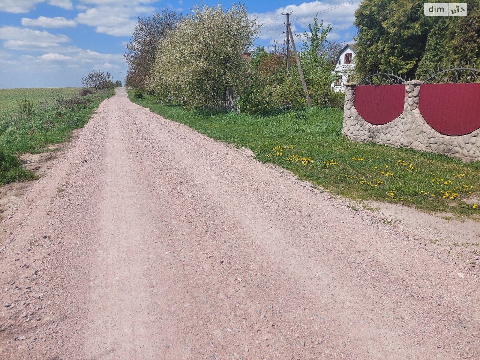 Земельна ділянка сільськогосподарського призначення в Колоденці, площа 1 Га фото 1