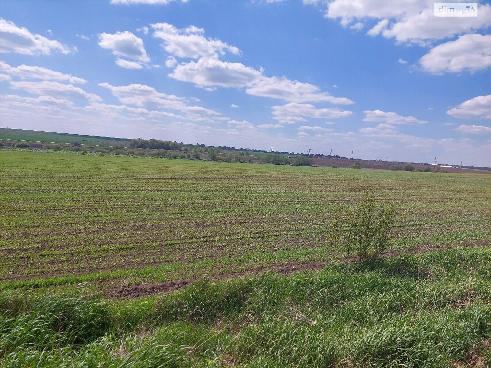 Земельна ділянка сільськогосподарського призначення в Колоденці, площа 1 Га фото 1