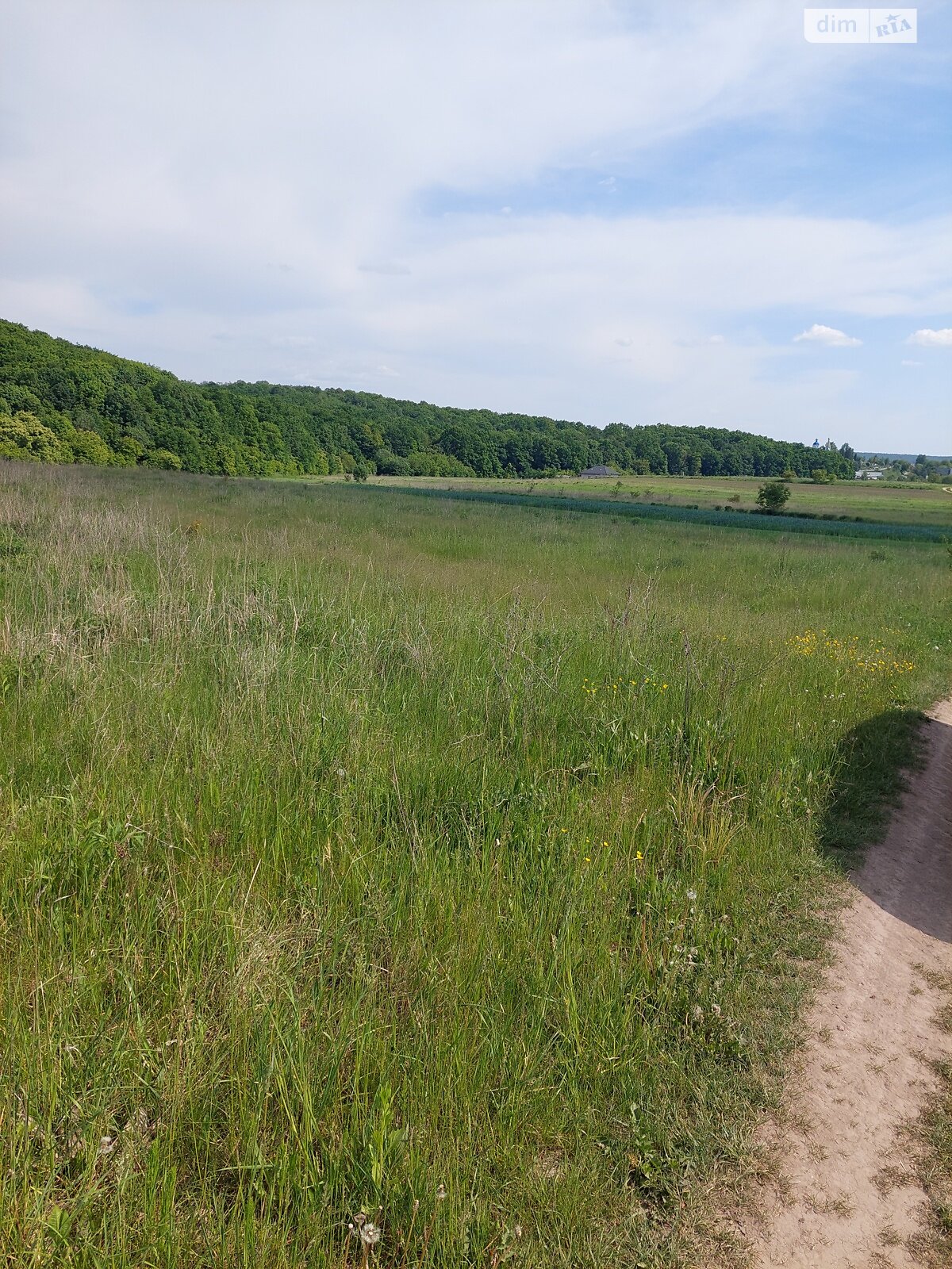 Земельна ділянка сільськогосподарського призначення в Колоденці, площа 29.51 сотки фото 1