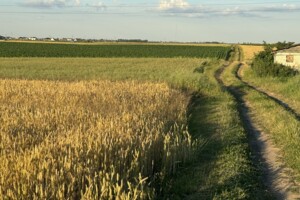 Земельна ділянка сільськогосподарського призначення в Колоденці, площа 2 Га фото 2