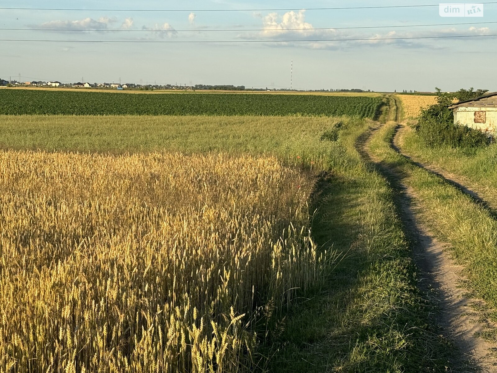 Земельна ділянка сільськогосподарського призначення в Колоденці, площа 2 Га фото 1