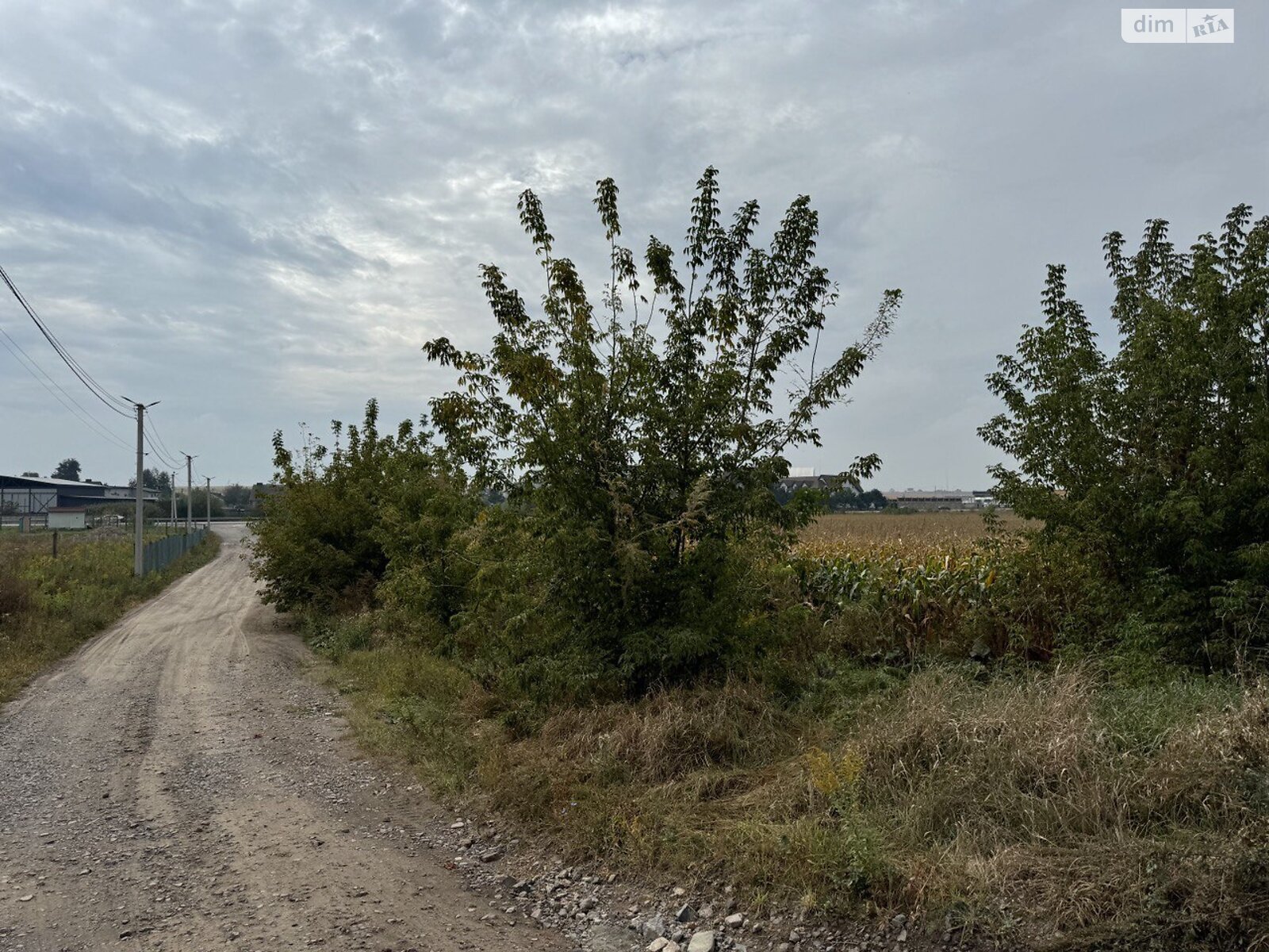 Земельна ділянка сільськогосподарського призначення в Колоденці, площа 3.758 Га фото 1