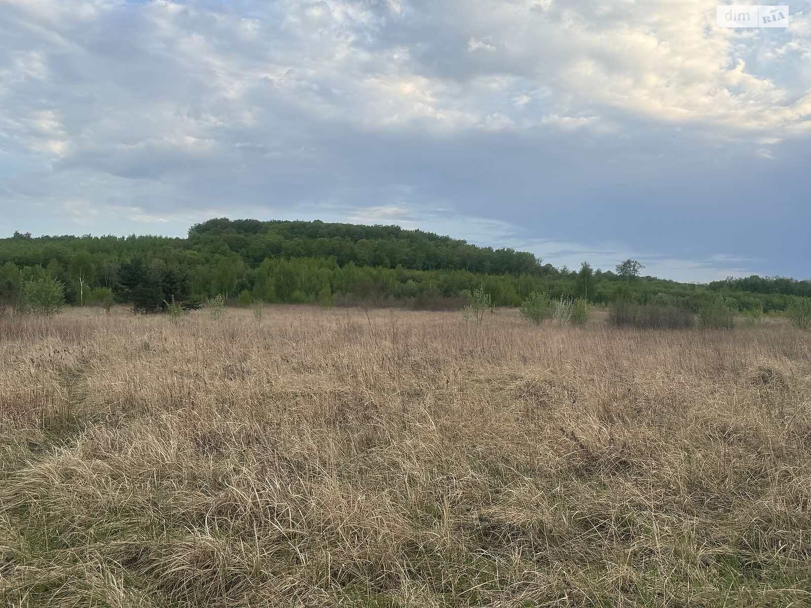 Земельна ділянка сільськогосподарського призначення в Колоденці, площа 11 соток фото 1 Земельна ділянка сільськогосподарського призначення в Колоденці, площа 11 соток фото 1