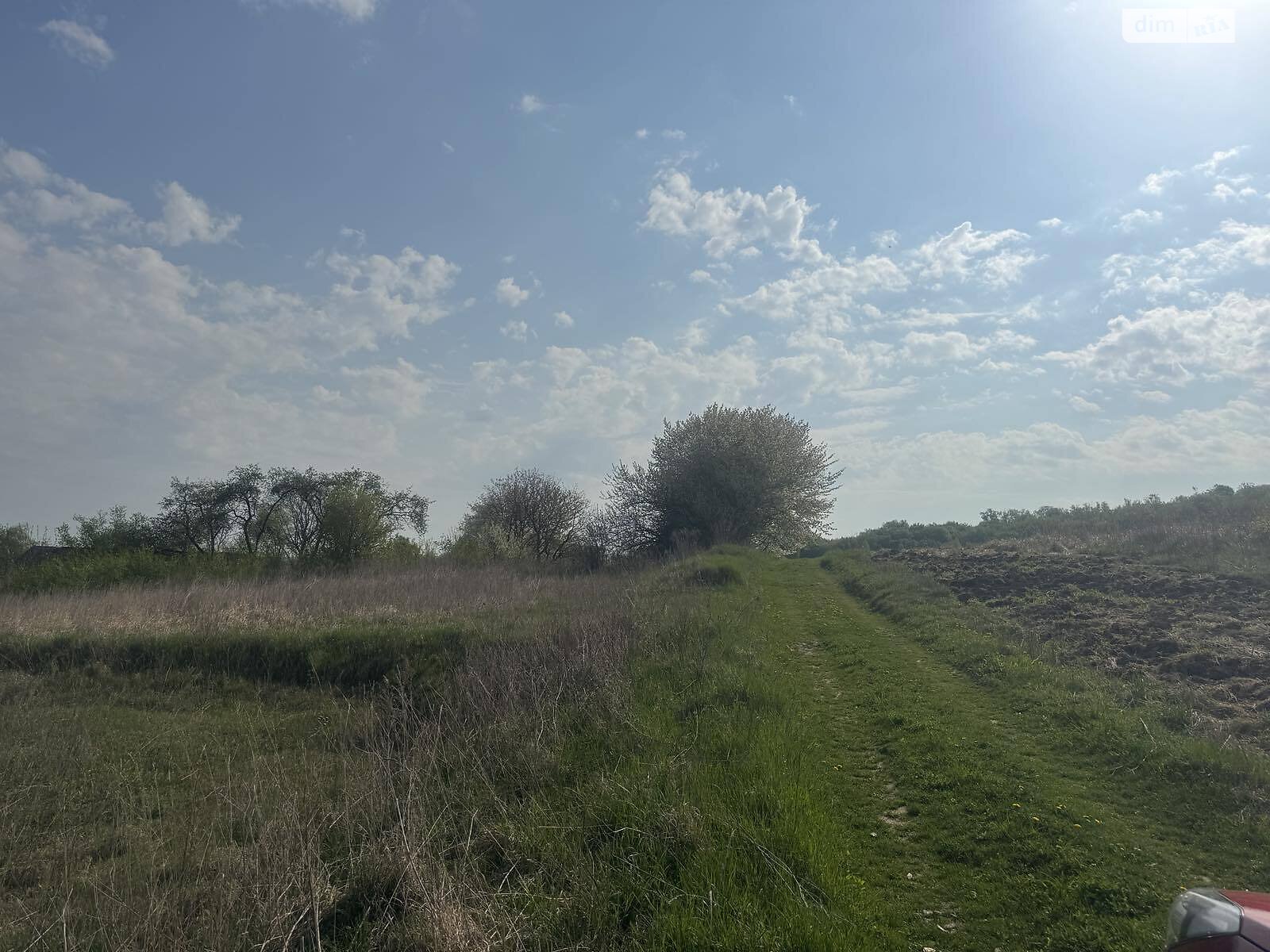 Земельна ділянка сільськогосподарського призначення в Колоденці, площа 11 соток фото 1 Земельна ділянка сільськогосподарського призначення в Колоденці, площа 11 соток фото 1