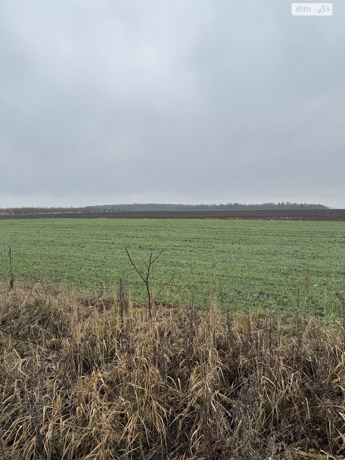 Земельный участок сельскохозяйственного назначения в Колоденке, площадь 3 Га фото 1 Земельный участок сельскохозяйственного назначения в Колоденке, площадь 3 Га фото 1