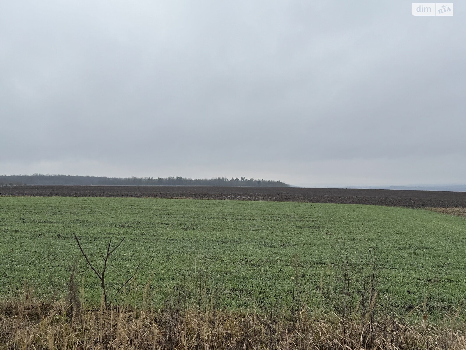 Земельный участок сельскохозяйственного назначения в Колоденке, площадь 3 Га фото 1 Земельный участок сельскохозяйственного назначения в Колоденке, площадь 3 Га фото 1