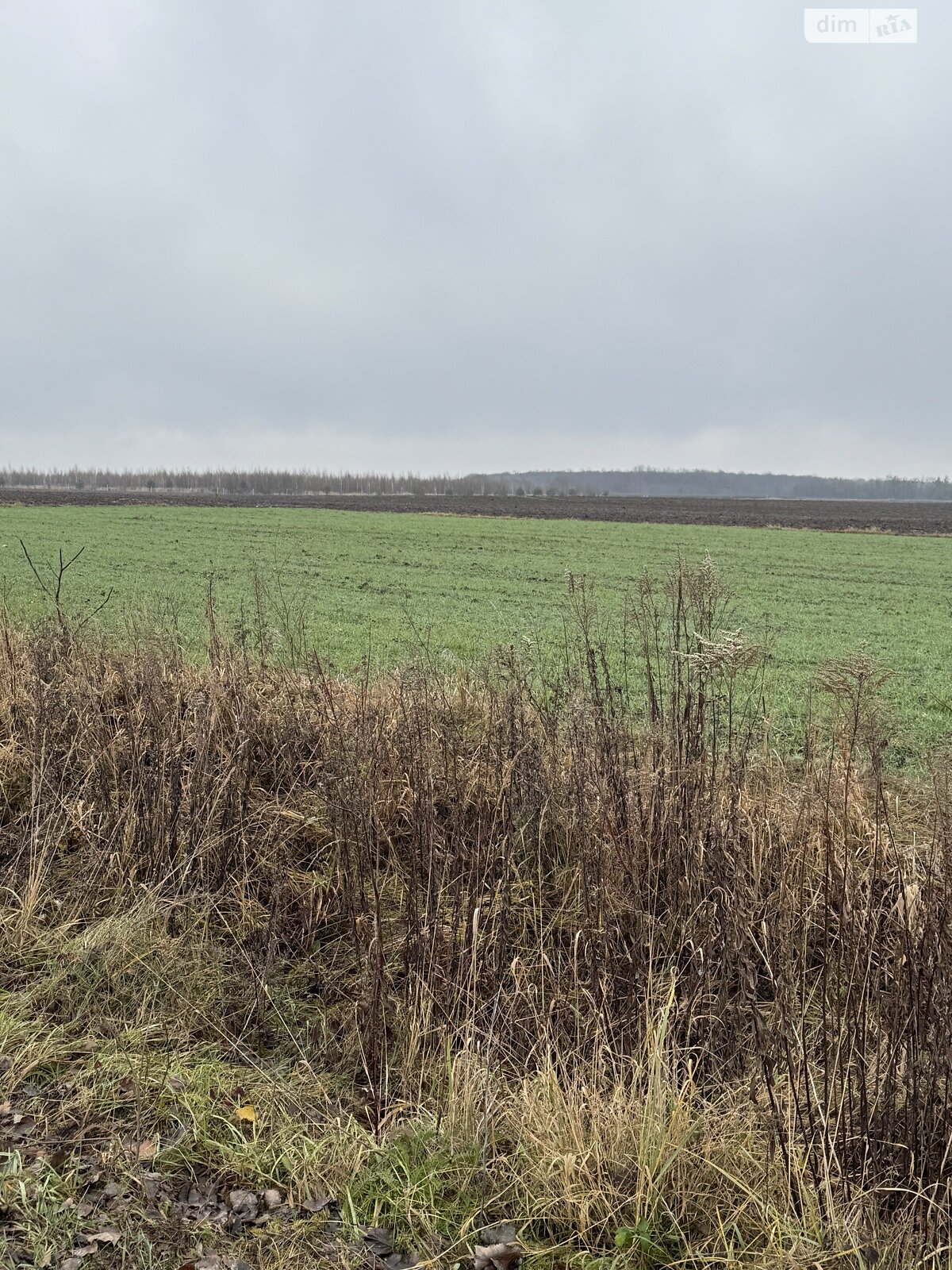 Земельный участок сельскохозяйственного назначения в Колоденке, площадь 3 Га фото 1 Земельный участок сельскохозяйственного назначения в Колоденке, площадь 3 Га фото 1