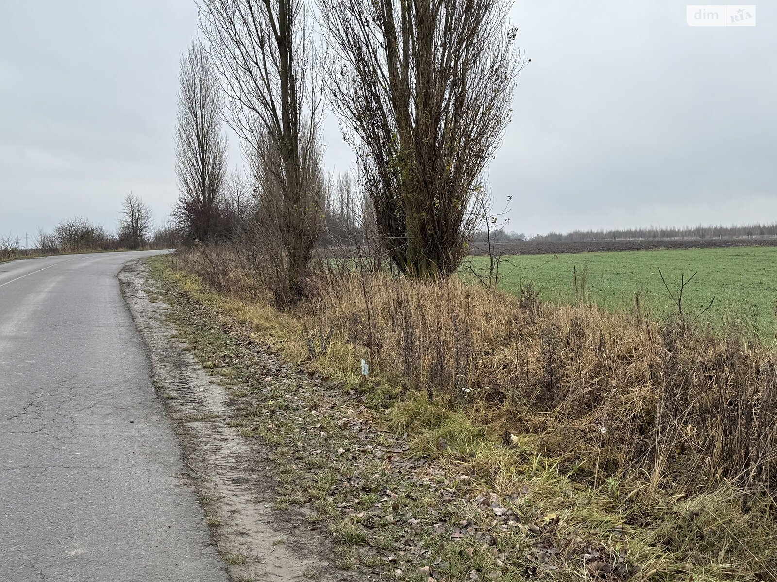 Земельный участок сельскохозяйственного назначения в Колоденке, площадь 3 Га фото 1 Земельный участок сельскохозяйственного назначения в Колоденке, площадь 3 Га фото 1