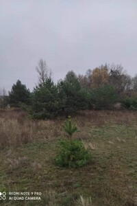 Земельный участок сельскохозяйственного назначения в Колодезьках, площадь 11 соток фото 2