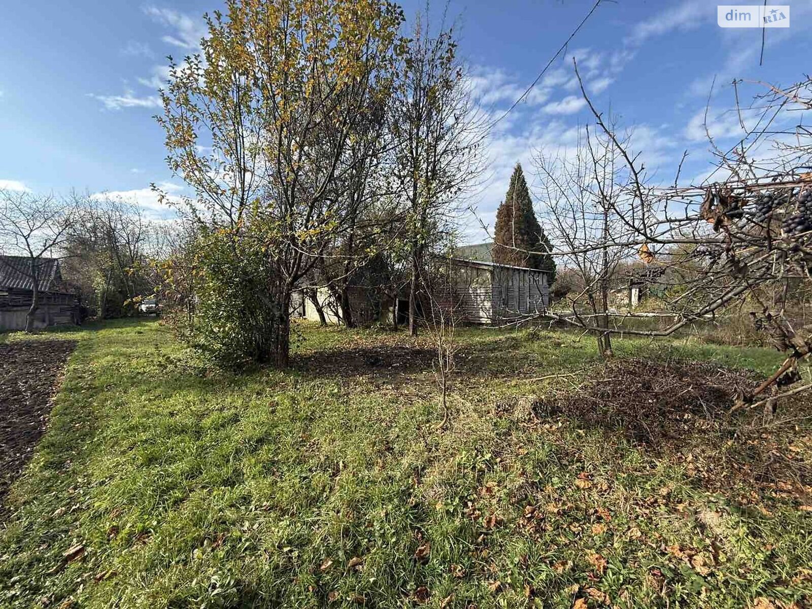 Земельный участок сельскохозяйственного назначения в Коломые, площадь 5.1 сотки фото 1