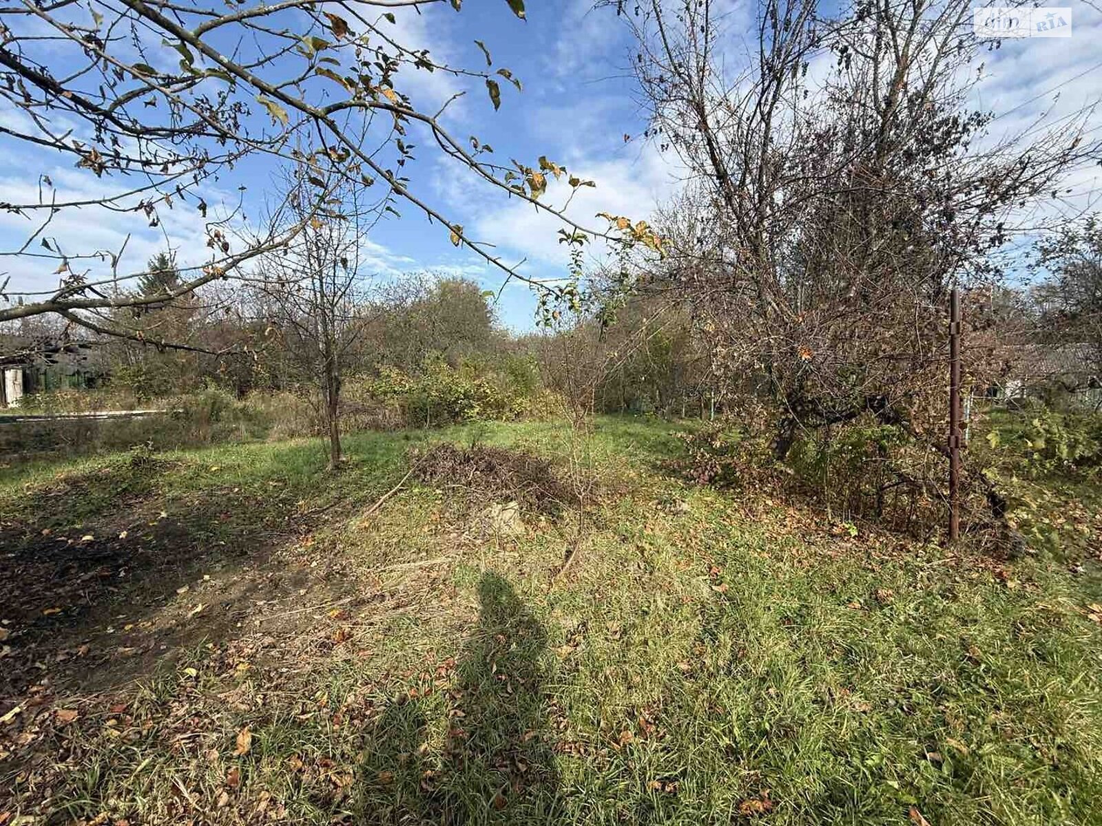 Земельный участок сельскохозяйственного назначения в Коломые, площадь 5.1 сотки фото 1