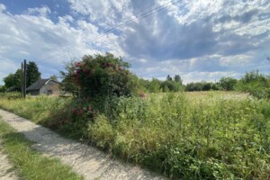 Земельный участок сельскохозяйственного назначения в Коломые, площадь 12.52 сотки фото 2