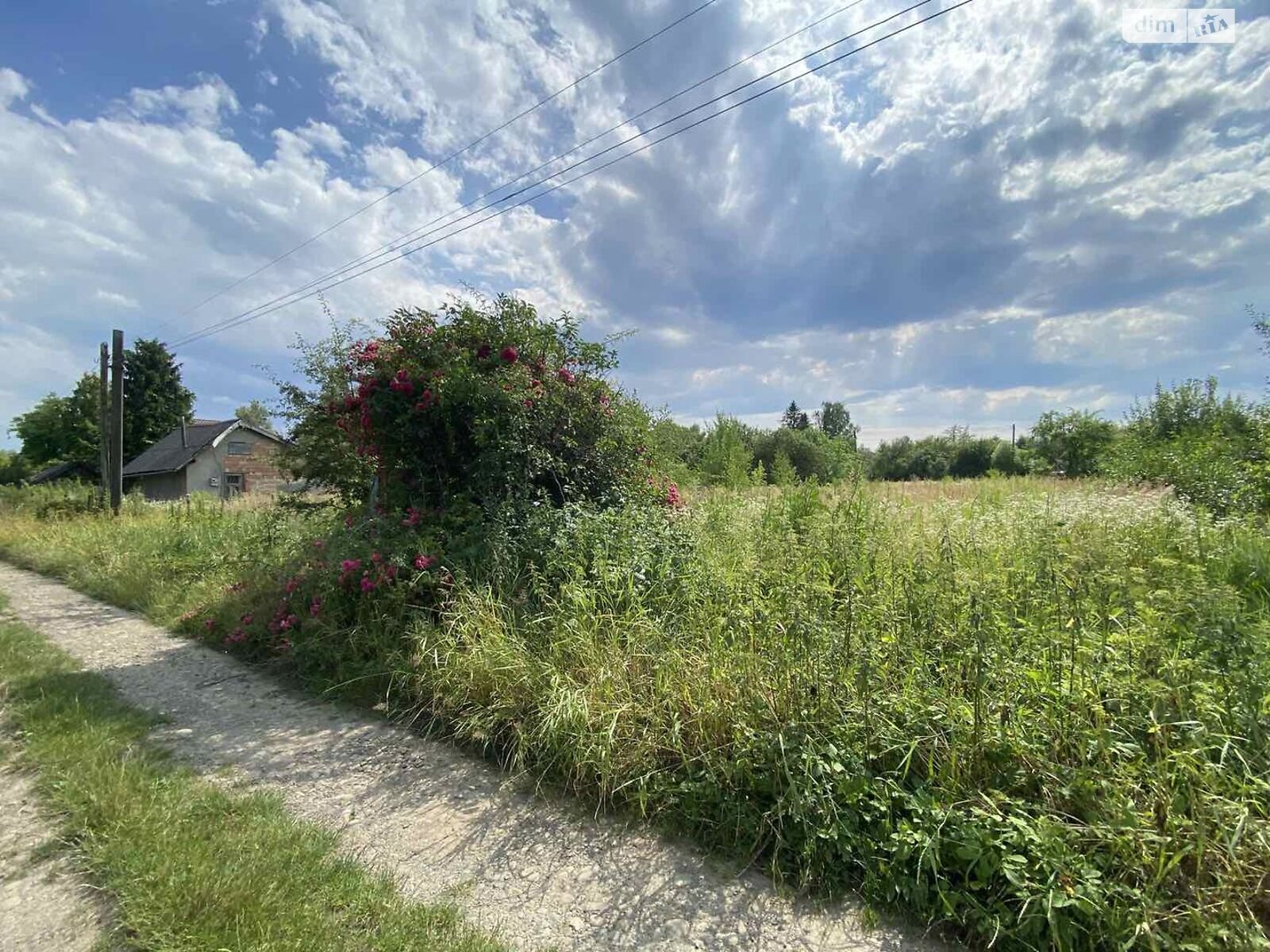 Земельный участок сельскохозяйственного назначения в Коломые, площадь 12.52 сотки фото 1
