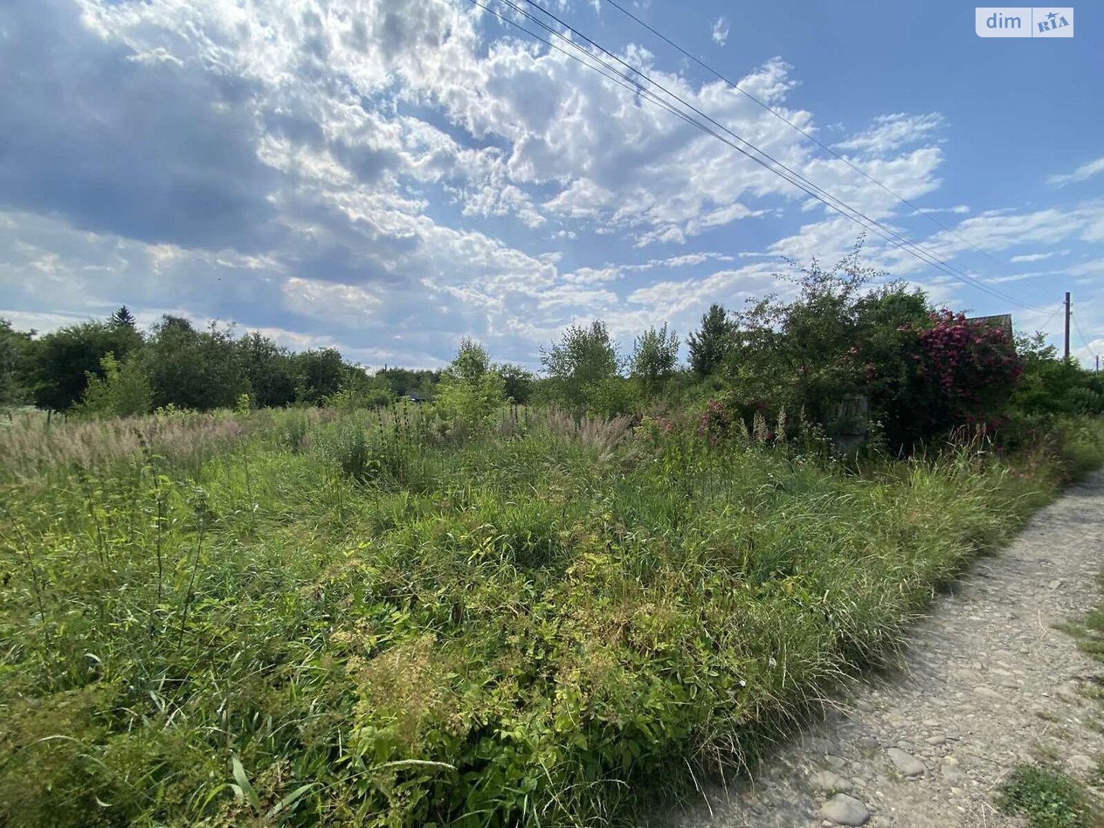 Земельный участок сельскохозяйственного назначения в Коломые, площадь 12.52 сотки фото 1