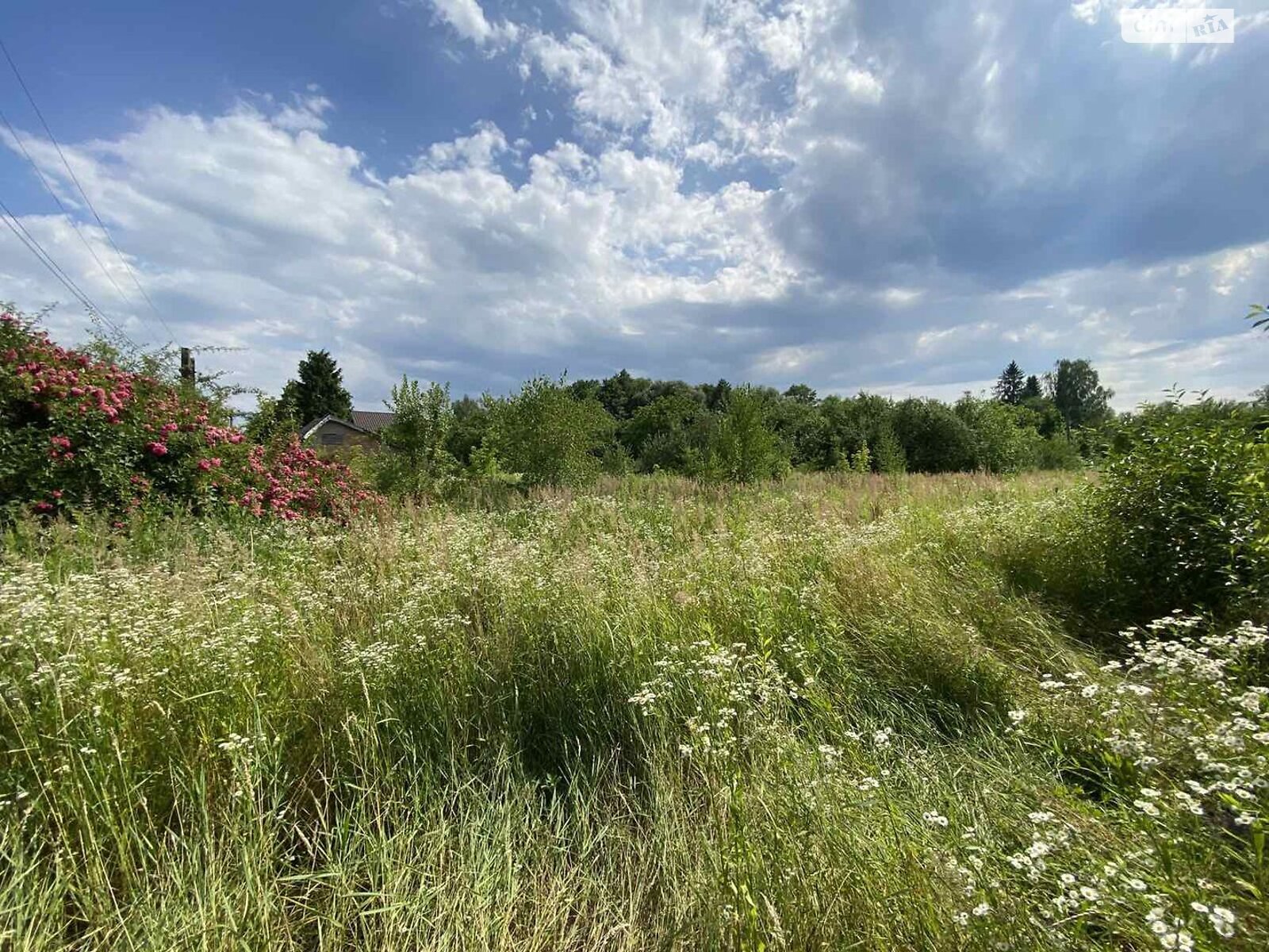 Земельный участок сельскохозяйственного назначения в Коломые, площадь 12.52 сотки фото 1