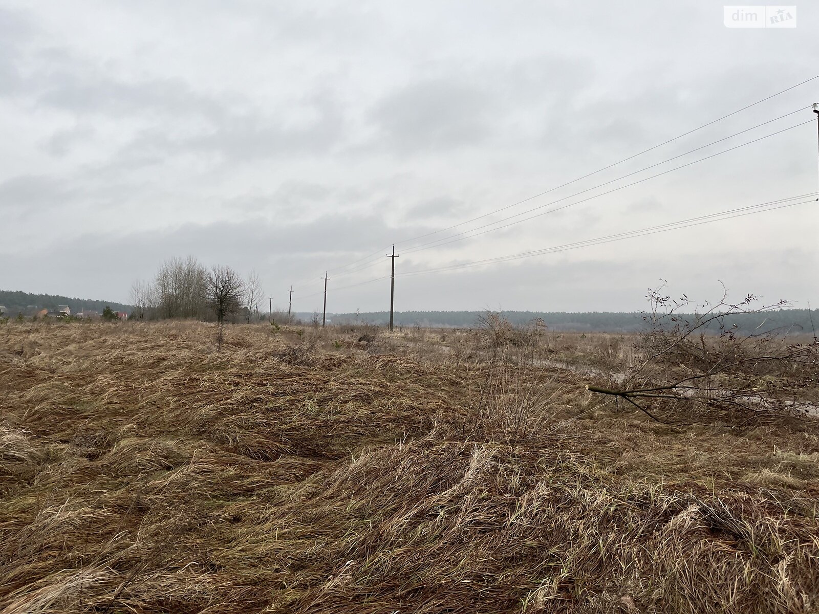 Земельна ділянка сільськогосподарського призначення в Колонщині, площа 12 соток фото 1